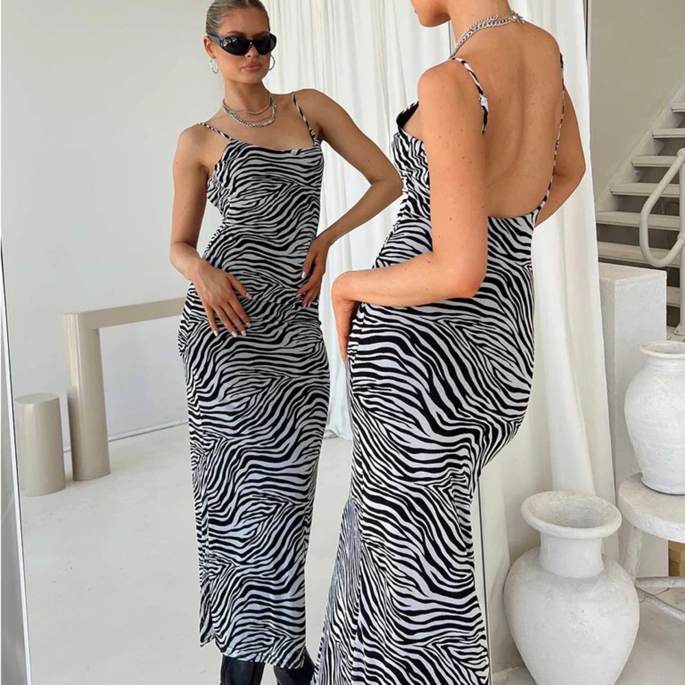 Princess Polly Knox Zebra Print Maxi Dress